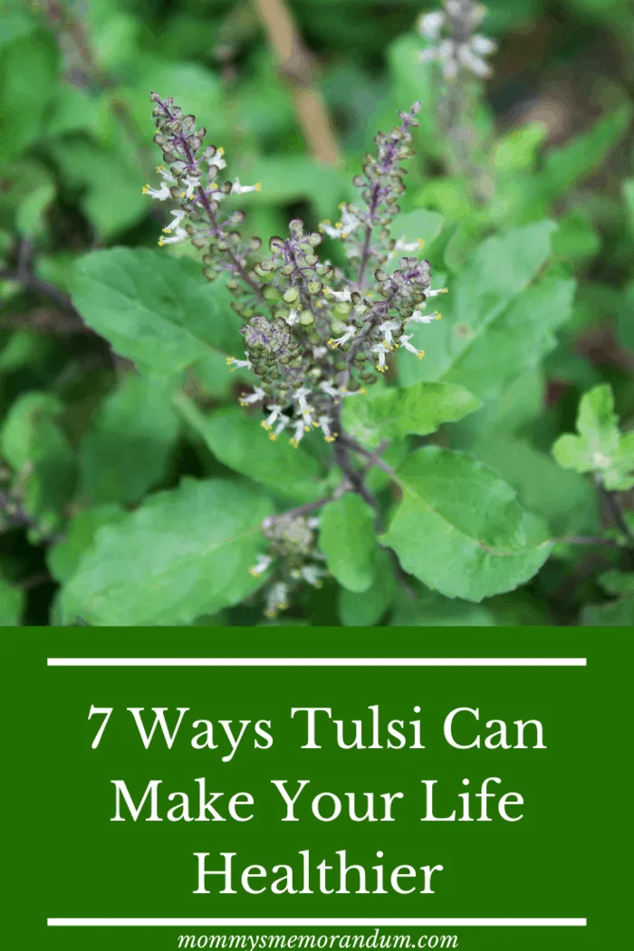 They are also referred to as a germicide and disinfectant. Consume Tulsi in its extract form via tablets, drops or even raw leaves – the benefits absorbed by your system will be multifold.