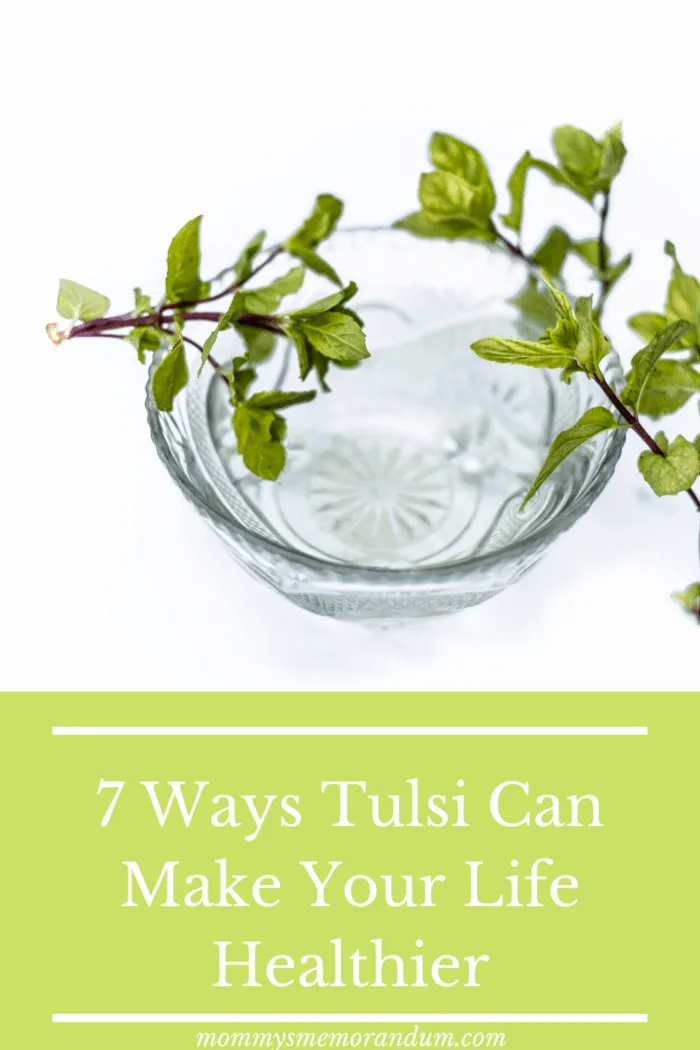 Studies have shown that if you have Tulsi daily, it curtails agony, calms down the nerves, and lowers the blood pressure.