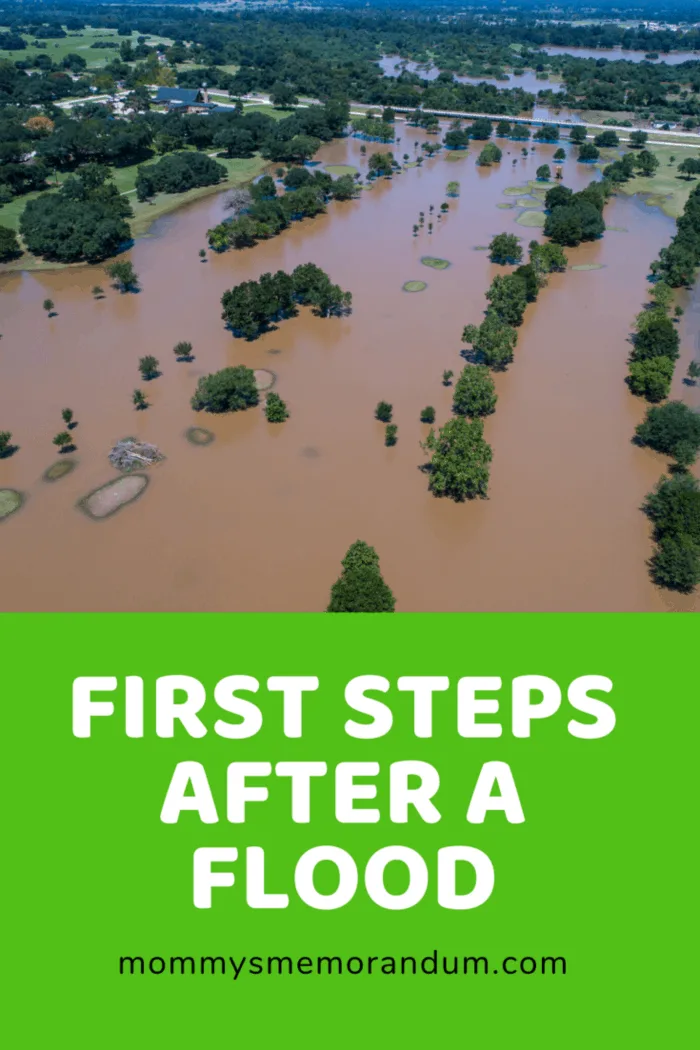 overhead view of region flooding