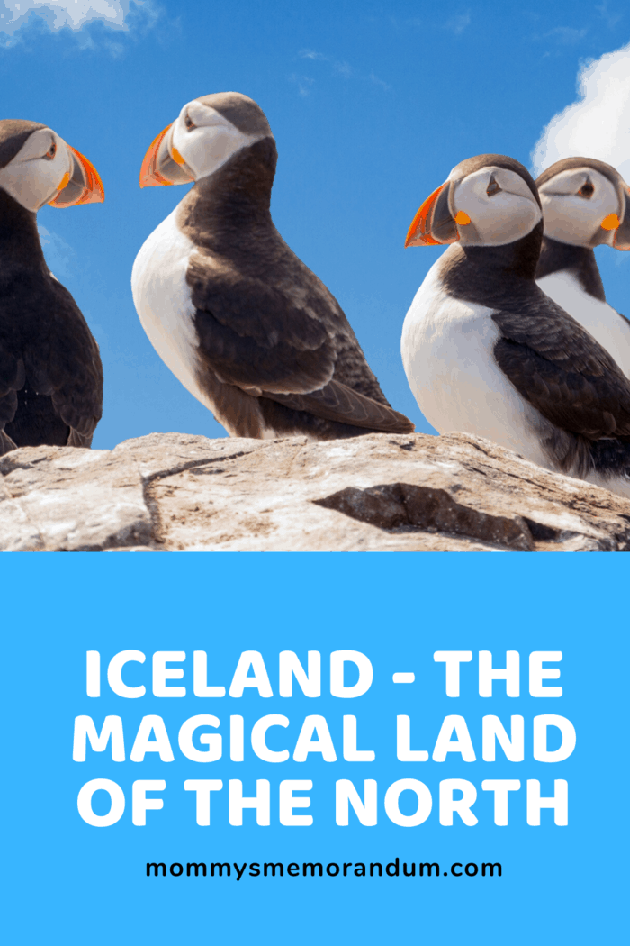 Every region of Iceland has what to offer the adventurous traveler.