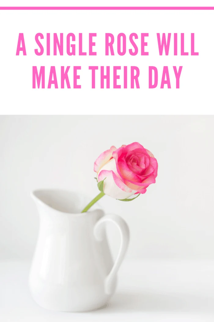 single pink rose in white vase