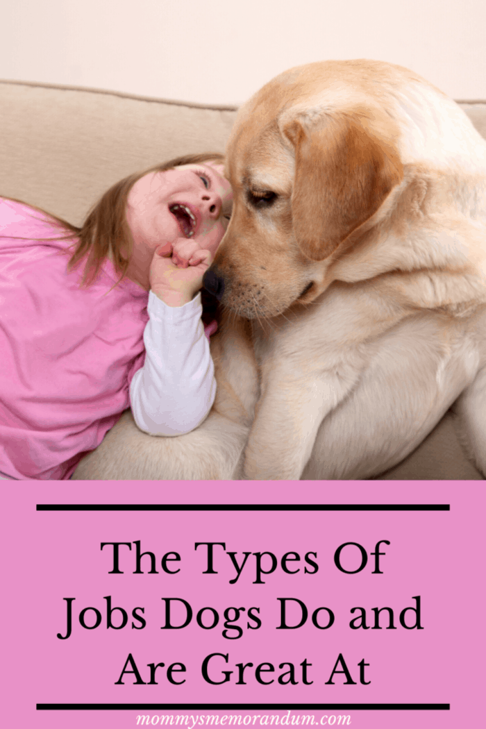 little girl with downs syndrome with her therapy dog