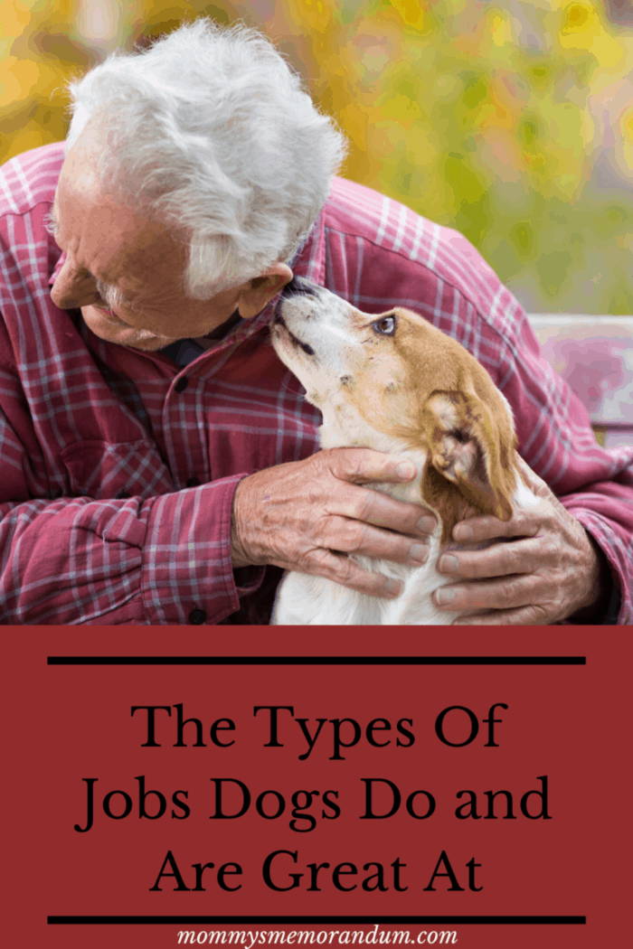 Older man with Animal-assisted therapy relies on using trained and certified animals to aid patients along their road to recovery from emotional and psychological trauma.