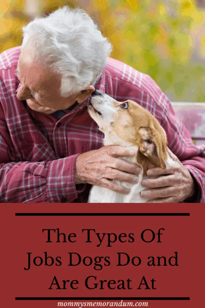 Older man with Animal-assisted therapy relies on using trained and certified animals to aid patients along their road to recovery from emotional and psychological trauma.