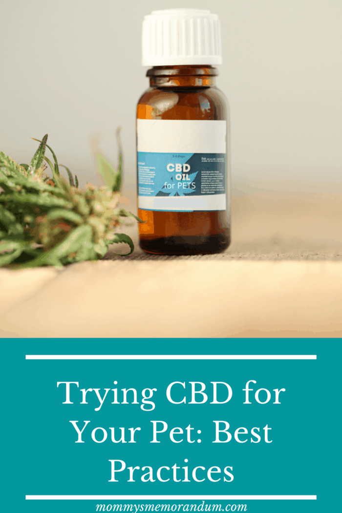 Cannabidiol, better known as CBD, is one of the active compounds in the cannabis plant.