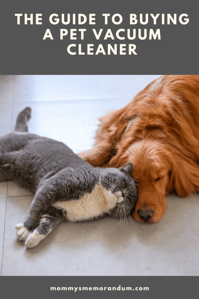 dog and cat snuggling on floor together