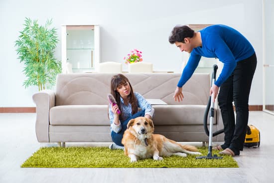 Fur and hair in your home make the place look dirty and also unhygienic especially to allergic people, consider buying a pet vacuum.