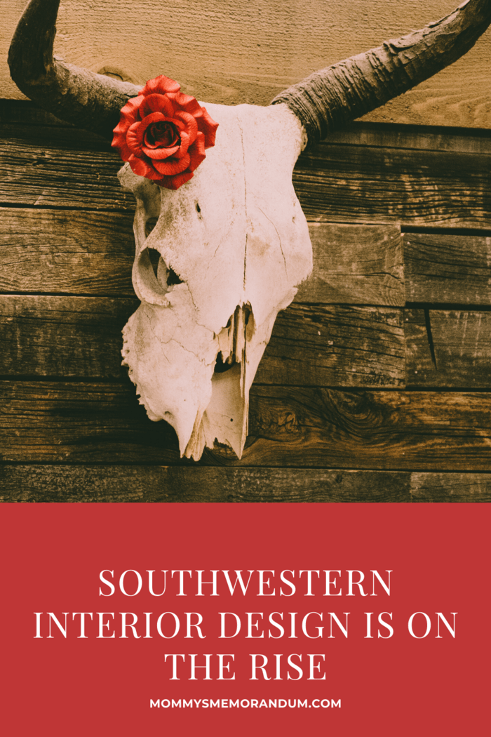 cow skull with flower next to horn hanging on wall as part of southwestern interior design