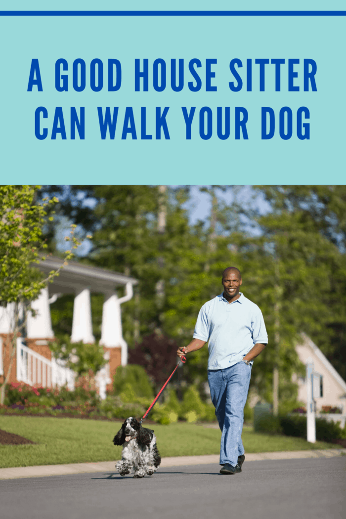housesitter walking dog in suburban neighborhood