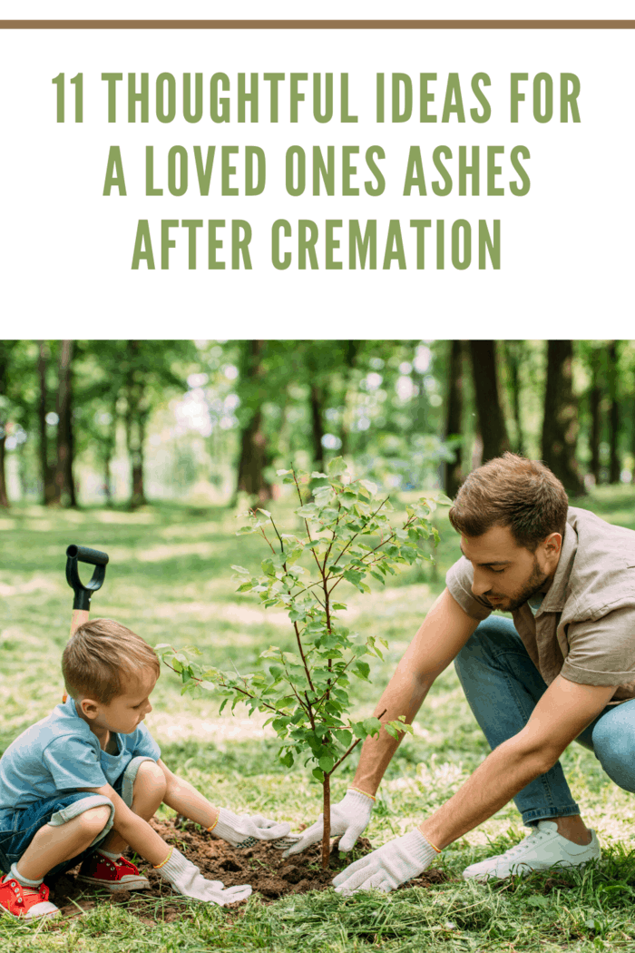 A father and son planting a young tree in soil mixed with loved one's ashes, creating a living memorial.