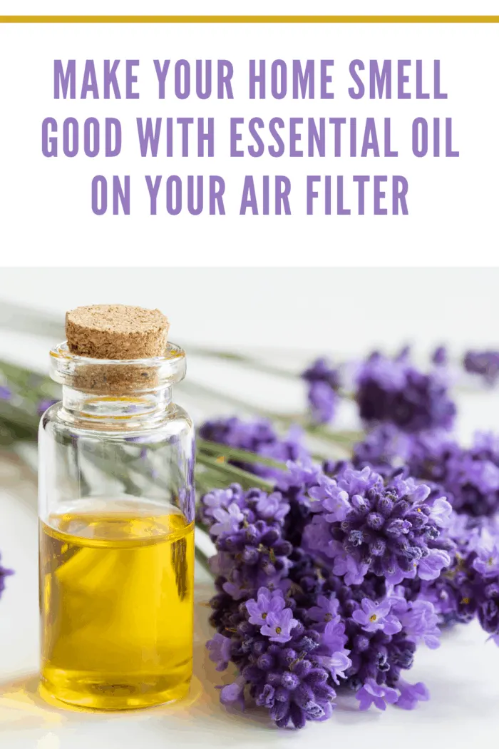 lavender essential oil with lavender sprigs