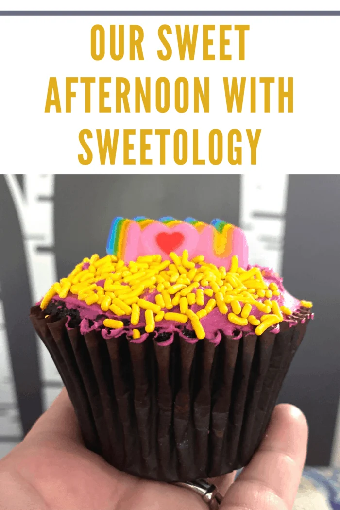 decorating cupcakes from sweetology