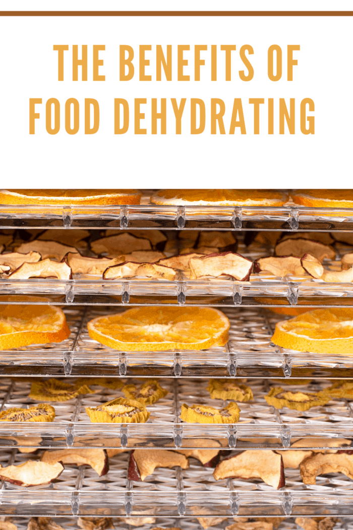 orange slices and bananas on food dehydrator