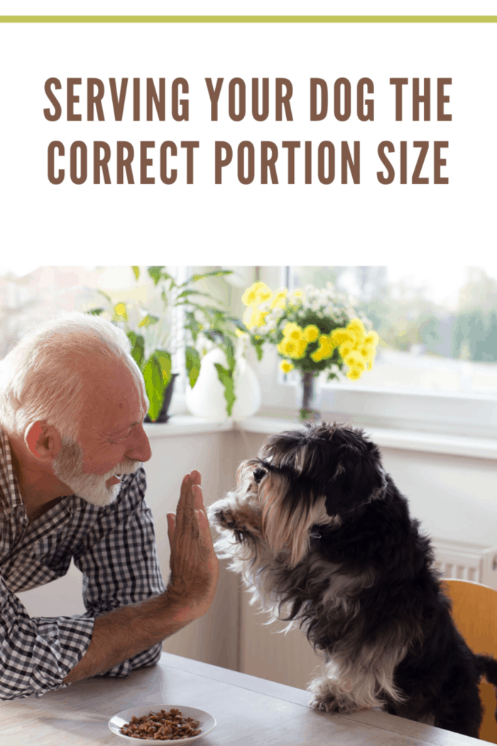 dog high fiving owner at table