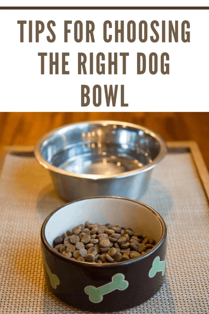 Choosing a bowl with a non-stick base can help to reduce slippage but selecting a ceramic or metal dish can be an effective way to prevent your dog from sending their bowl flying every time you feed them.