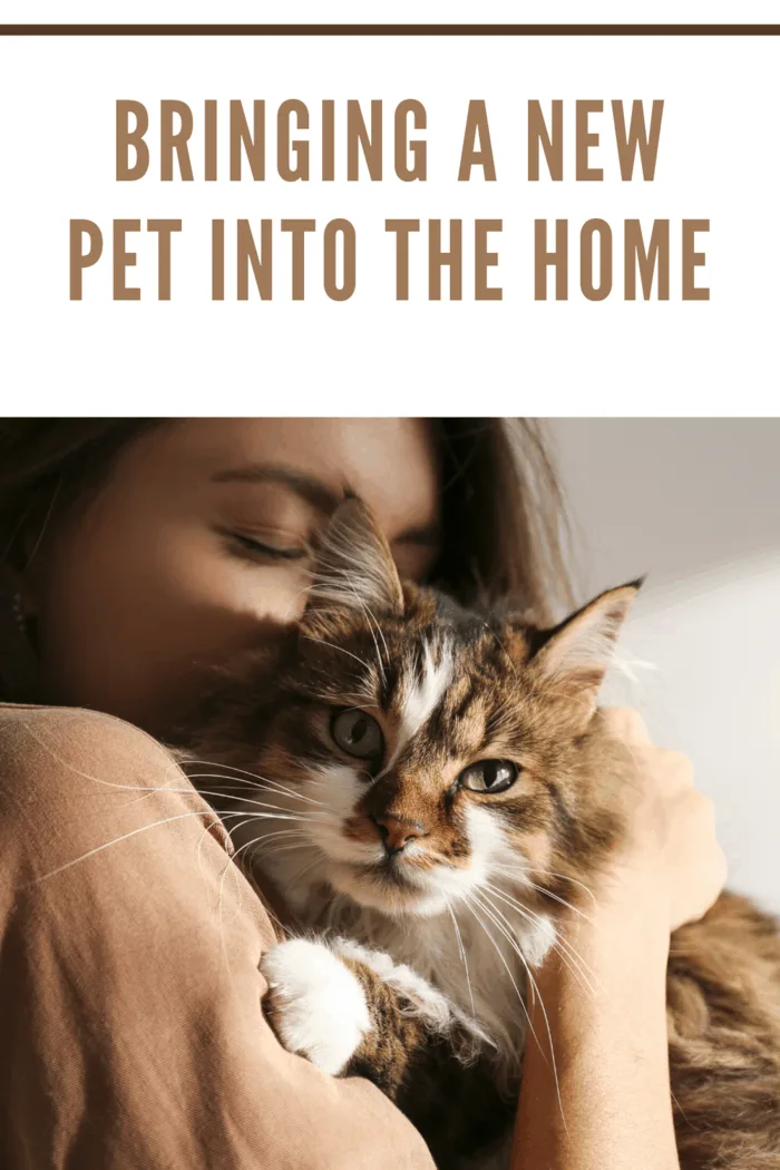 woman bringing a new pet into the home snuggling a cat