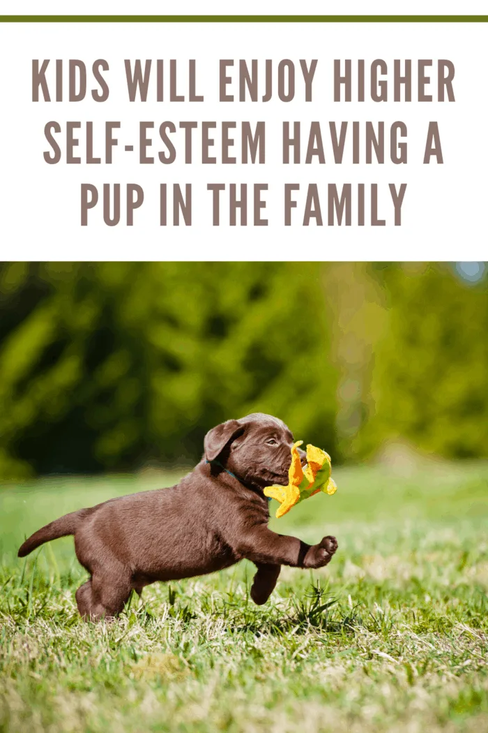 small puppy running in yard with plush duck toy in mouth