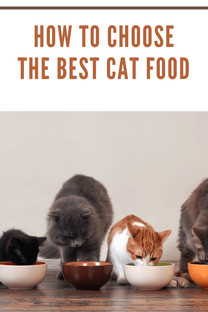 This article was written to help you understand some of the nuances of choosing cat food.