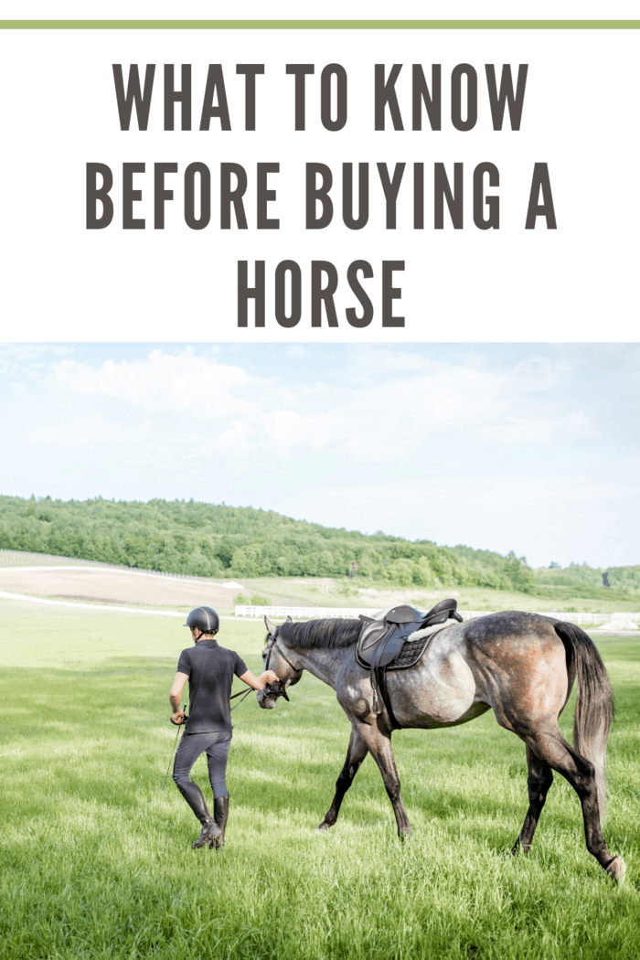 man walking with horse