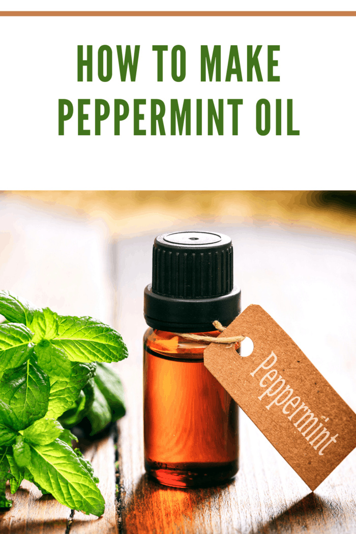 peppermint oil in amber jar with peppermint tag next to peppermint leaves