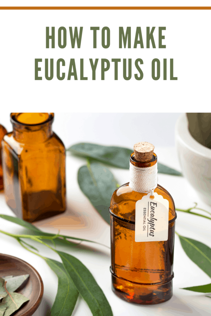 5 Essential Oils You Can Make • Mommy's Memorandum