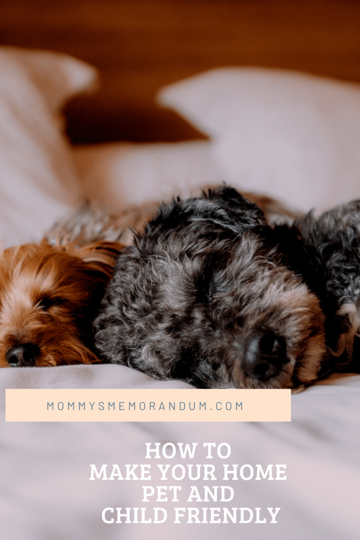 black and brown puppy sleeping on bed