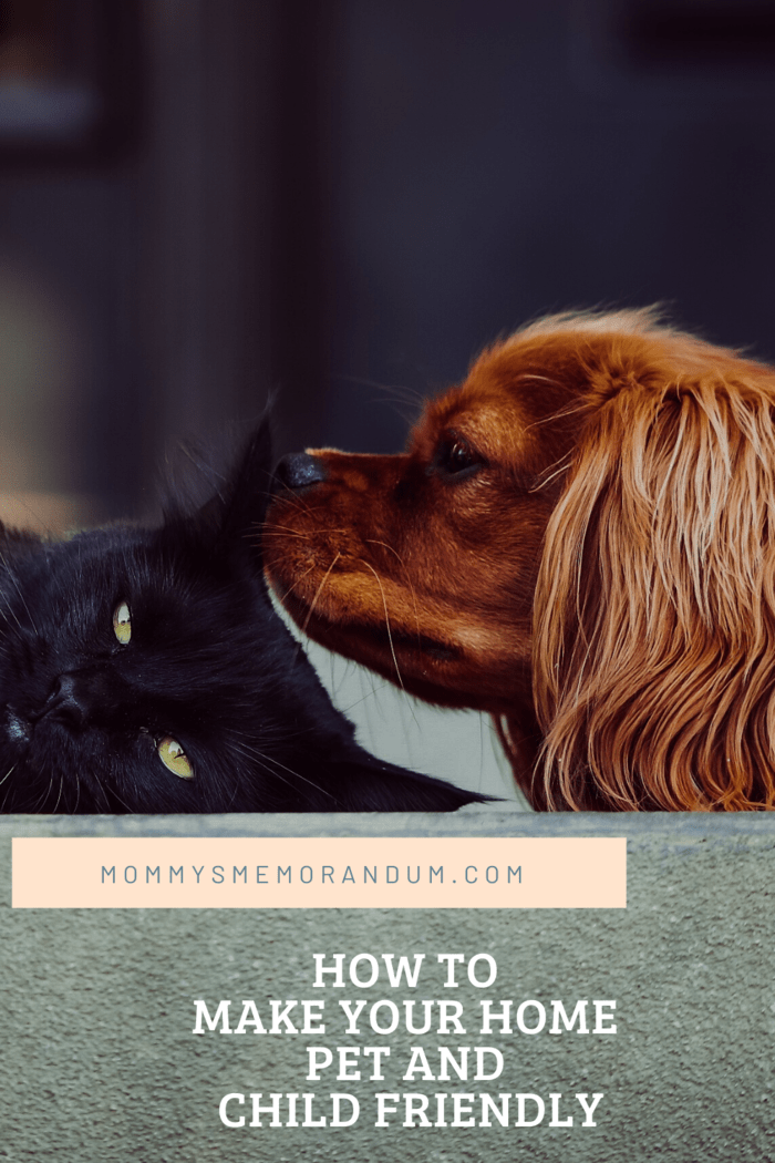 brown cocker spaniel on floor cuddling black cat