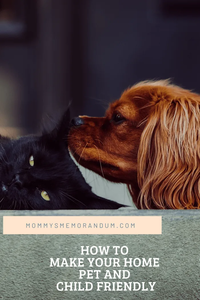 brown cocker spaniel on floor cuddling black cat