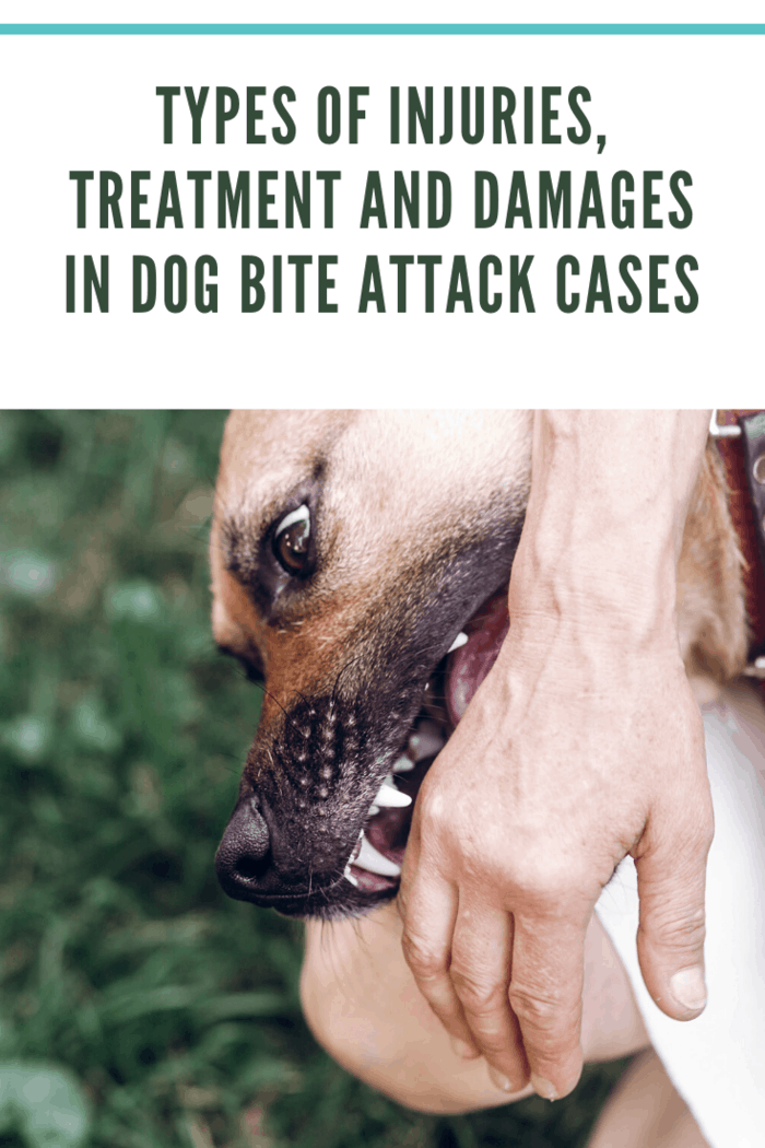 Types of Injuries, Treatment and Damages in Dog Bite Attack Cases