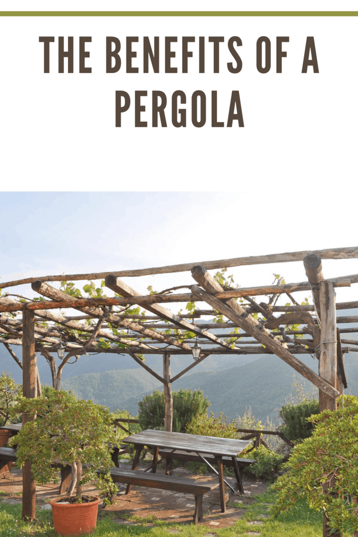 pergola over picnic tables with amazing scenic view of mountains