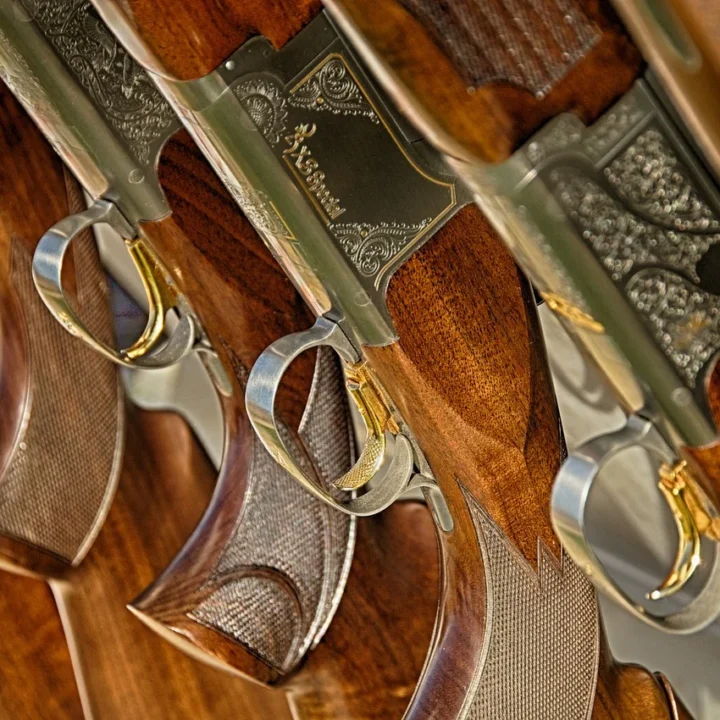 row of hunting rifles