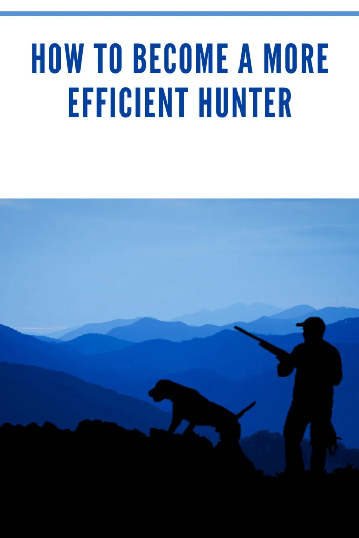 silhouette of hunter and dog with blue mountains in background