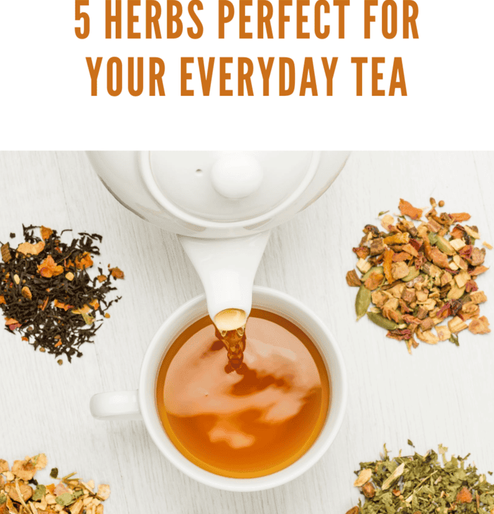 Pouring tea into a cup surrounded by fresh herbs like spearmint, basil, and lemongrass perfect for everyday tea.