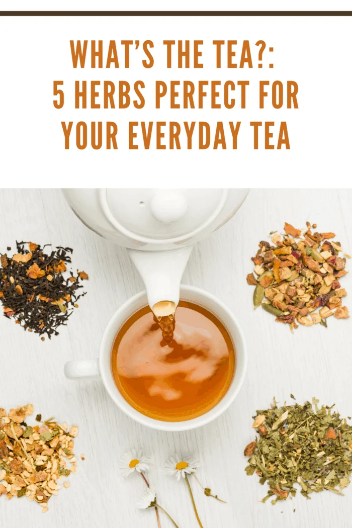 pouring tea into cup with variety of herbal tea on table