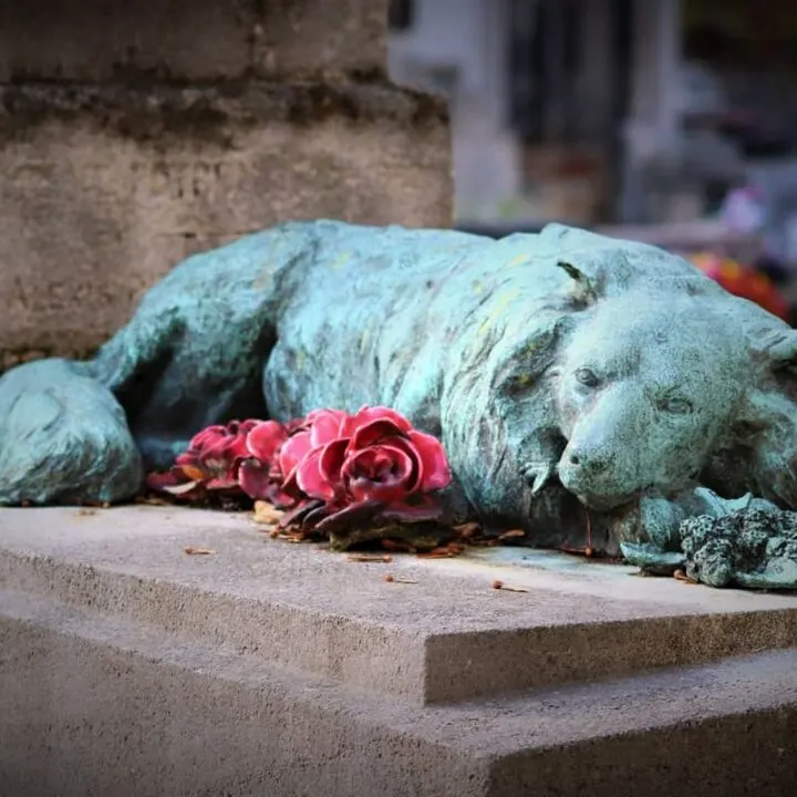 Bronze statue of a sleeping dog with flowers, symbolizing coping with the death of a pet and finding comfort in remembrance.