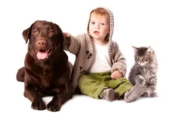 Happy kid with his pets - a dog and a kitten