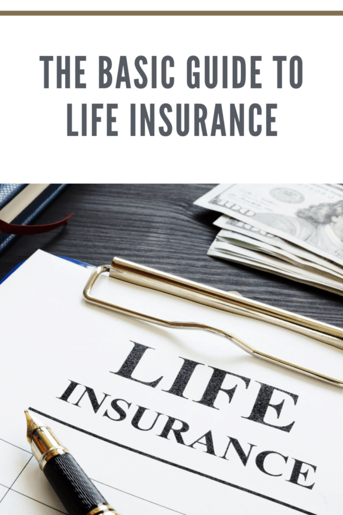 The Basic Guide To Life Insurance • Mommy's Memorandum