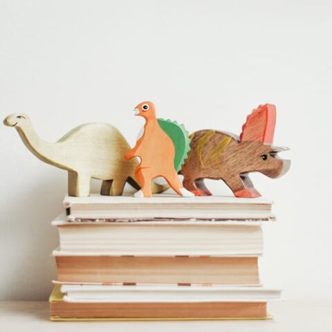 4 Top Dinosaur Books You Must Give a Read