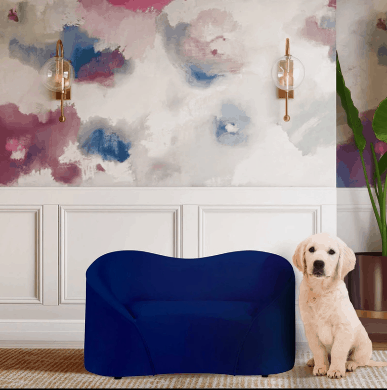 Read on for some great ways to put together some dog-friendly living room ideas for your space, including ways to incorporate luxury dog beds.