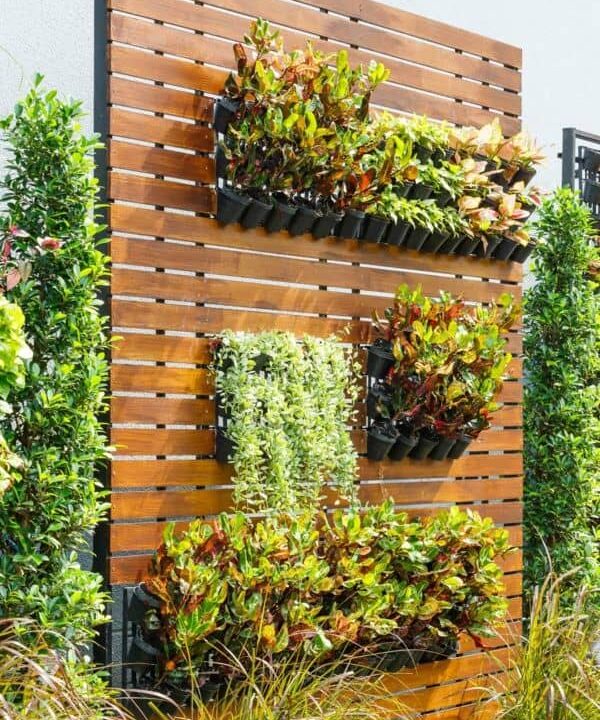 Beautiful vertical garden as a backyard idea to consider