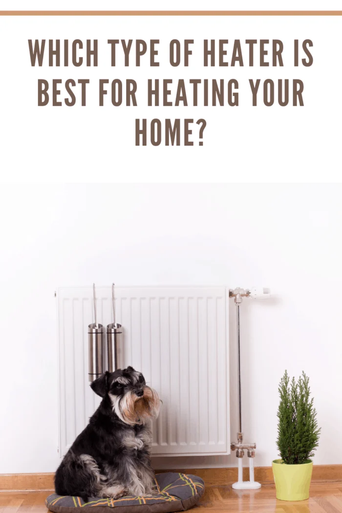 Good indoor climate concept. Dog sitting on the pillow in front of radiator with water containers for steam