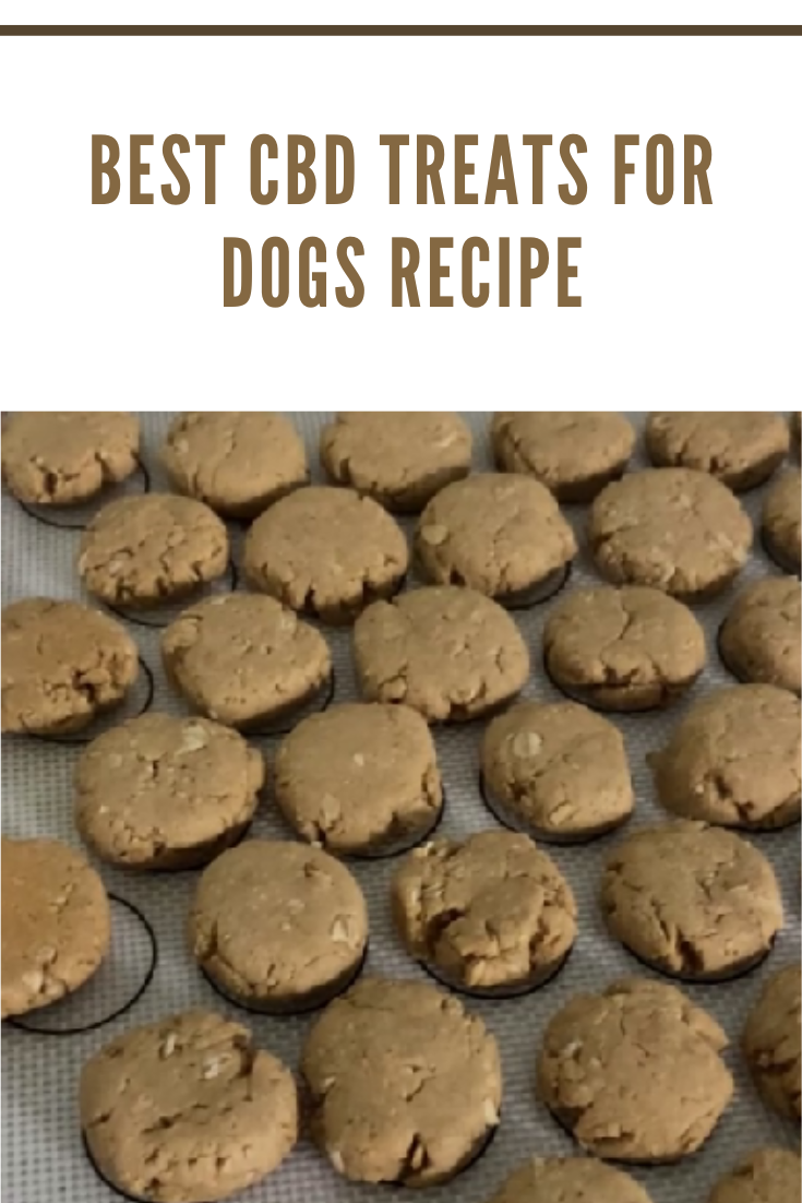 Learn how to make your own CBD dog treats. Your pet and you will love all the benefits of this CBD Oil Dog Treats recipe. 