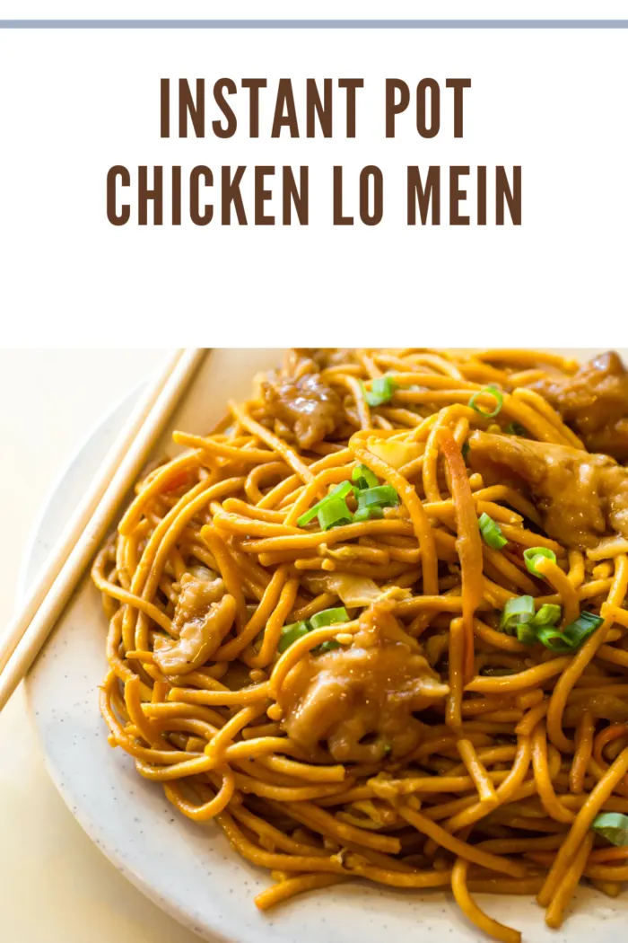 Overhead view of easy Instant Pot chicken lo mein featuring tender chicken pieces and colorful vegetables