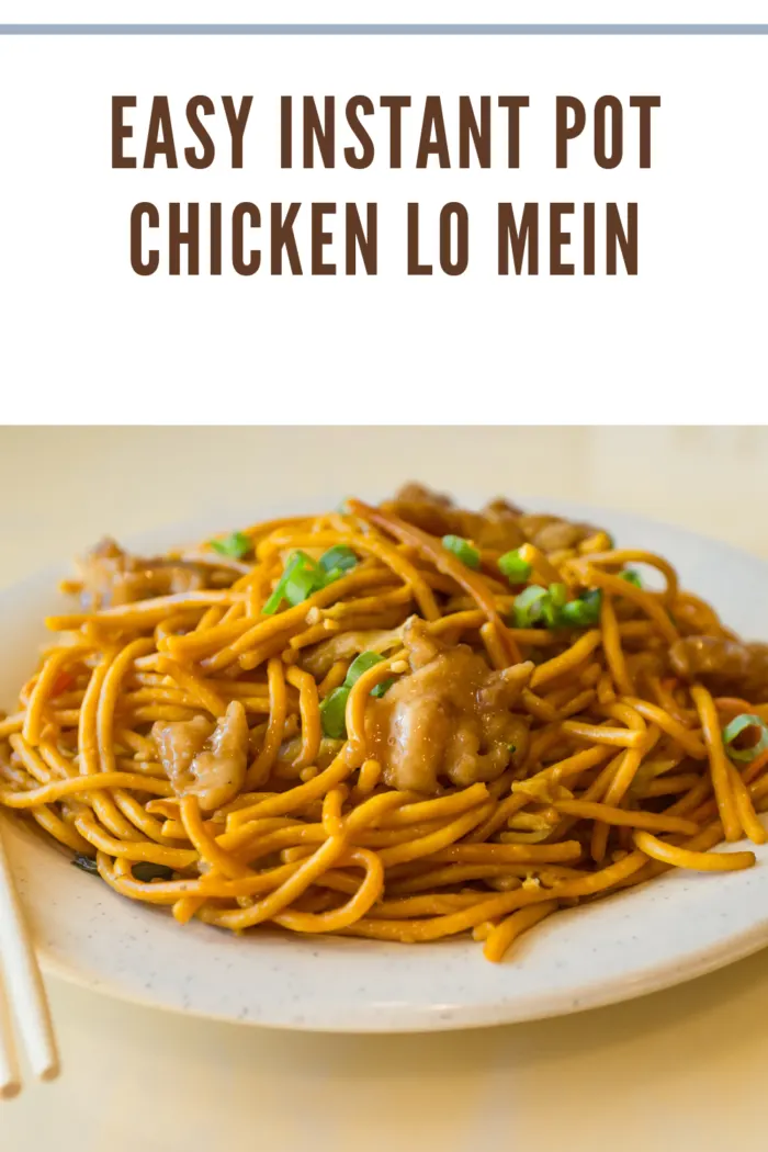 Side view of easy Instant Pot chicken lo mein with chicken, vegetables, and noodles in a savory sauce