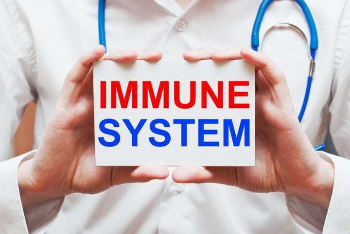 Immune System. Medical Doctor Shows Information