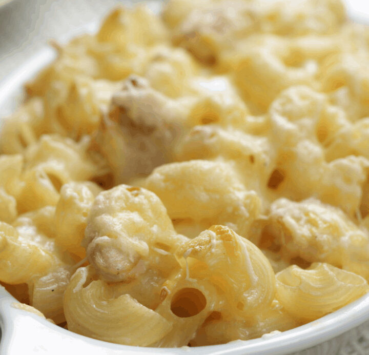 Macaroni and cheese with chicken meat closeup