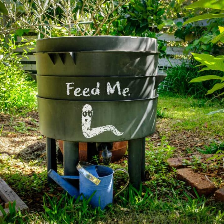 wormery compost bin in organic Australian garden with Feed Me worm sign, sustainable living and zero waste lifestyle