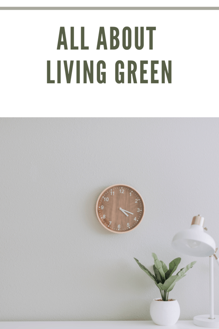 minimalist with simple plant, light and clock