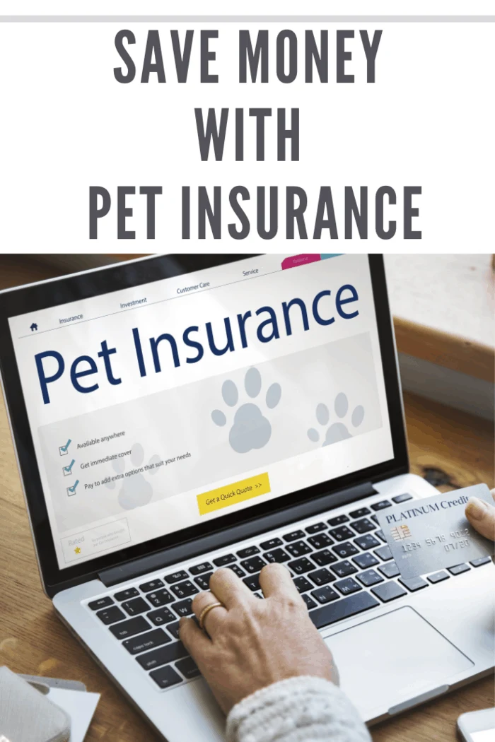 Pet Insurance Care Guarantee Concept