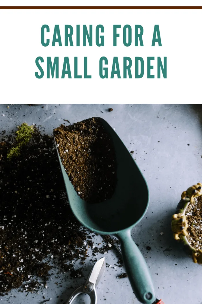 Gardening Scoop and Soil